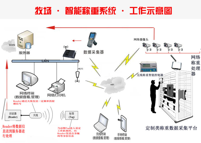 �Bֳ����RFID ���ܷQ�ع���ϵ�y